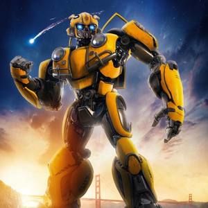 Meet your Posher, Haiden